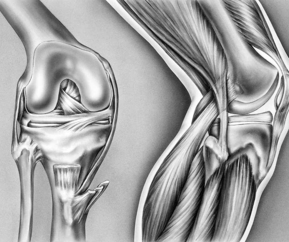 How To Treat Musculoskeletal Pain